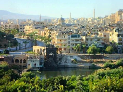 Hama city