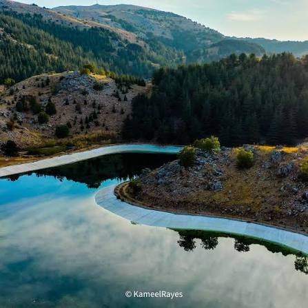 Barouk Cedars